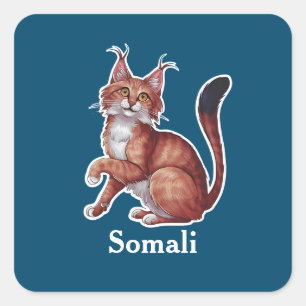 Adesivo Quadrado Somali