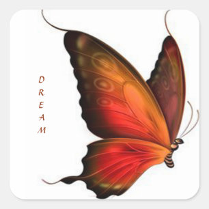 Adesivo Quadrado Sonho de Sticker/Butterfly