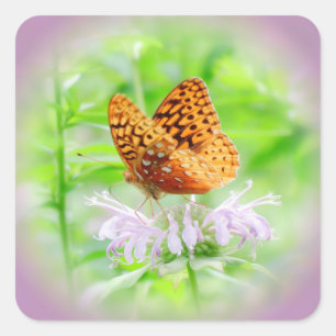 Adesivo Quadrado Sonho Fritilário - Pau Quadrado Diário