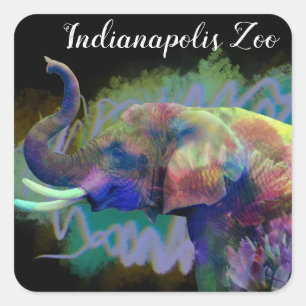 Adesivo Quadrado Sorte do elefante do nariz