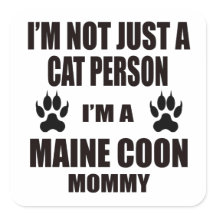 Sou uma Mamãe Maine Coon