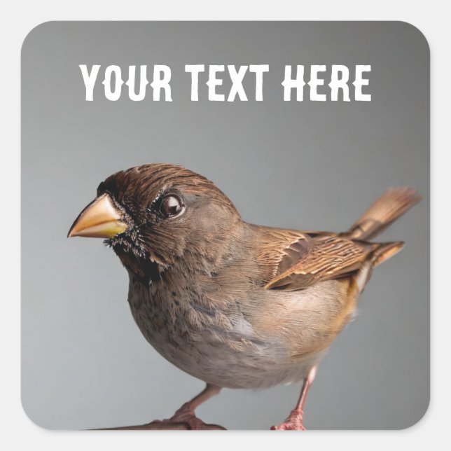 Adesivo Quadrado Sparrow (Frente)