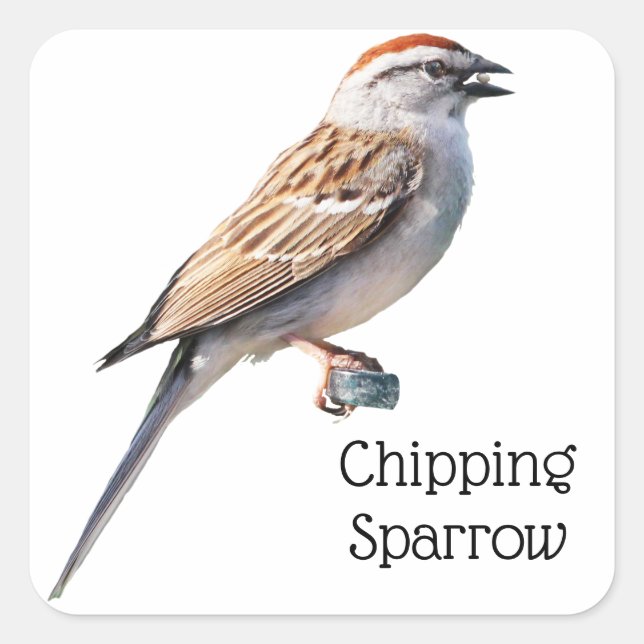 Adesivo Quadrado Sparrow de chipset (Frente)