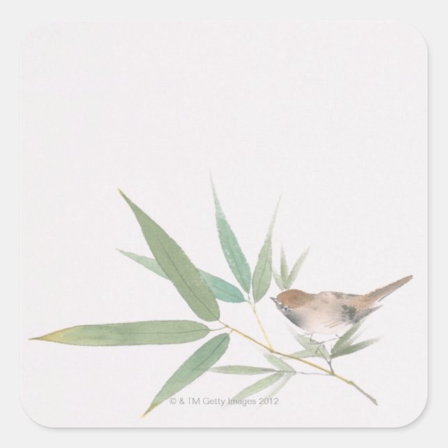 Adesivo Quadrado Sparrow e Bamboo (Frente)