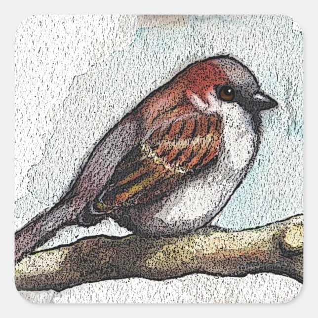 Adesivo Quadrado Sparrow: Pássaro, Aquarela, Pedras, Rochas (Frente)