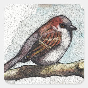 Adesivo Quadrado Sparrow: Pássaro, Aquarela, Pedras, Rochas