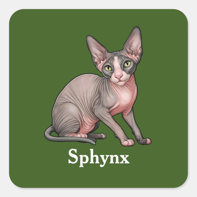 Adesivo Quadrado Sphynx (Frente)