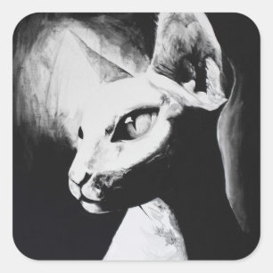 Adesivo Quadrado Sphynx Cat Black White Contraste Arte Gatinho Sem 