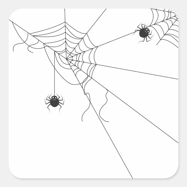 Adesivo Quadrado spider web net (Frente)