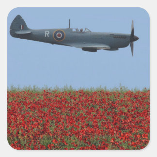 Adesivo Quadrado Spitfire e Poppies