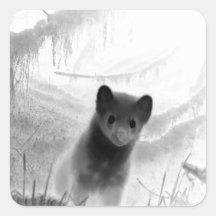 Spooky Pine Marten