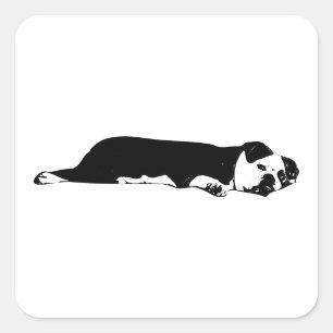 Adesivo Quadrado Sprawl Bulldog Sticker