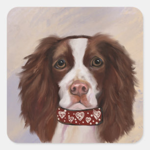 ADESIVO QUADRADO SPRINGER SPANIEL INGLÊS   