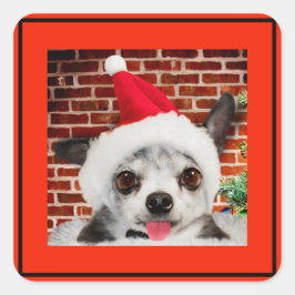 Adesivo Quadrado SQUARE STICKKER CHIHUAHUA EM Papai Noel