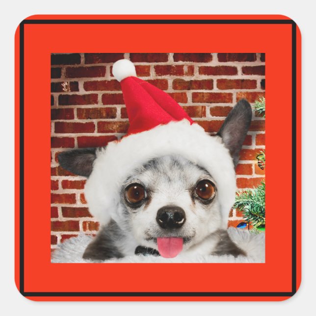 Adesivo Quadrado SQUARE STICKKER CHIHUAHUA EM Papai Noel (Frente)