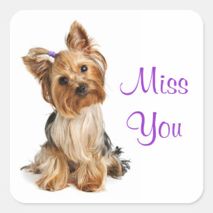 Adesivo Quadrado Srta. Yorkshire Terrier Puppy Dog Stickers