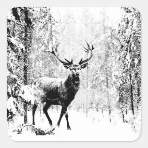 Adesivo Quadrado Stag Deer Winter Forest Willife Animal Nature Art