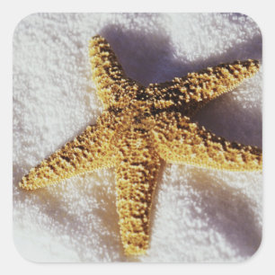 Adesivo Quadrado Starfish Em Uma Toalha