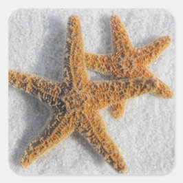 Adesivo Quadrado Starfish no Casamento de Sand Beach
