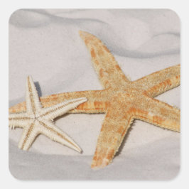 Adesivo Quadrado Starfish Sticker