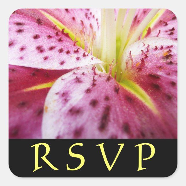 Adesivo Quadrado Stargazer Lily Pink Vinheta RSVP Floral (Frente)