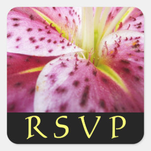 Adesivo Quadrado Stargazer Lily Pink Vinheta RSVP Floral