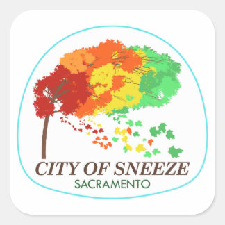 Adesivo Quadrado Sticker "City of Sneeze" de Sacramento