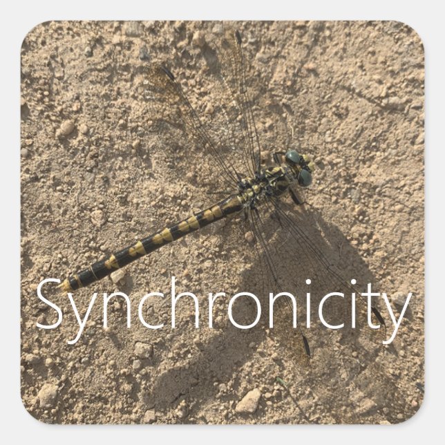 Adesivo Quadrado Sticker 'Synchronicity' (Frente)