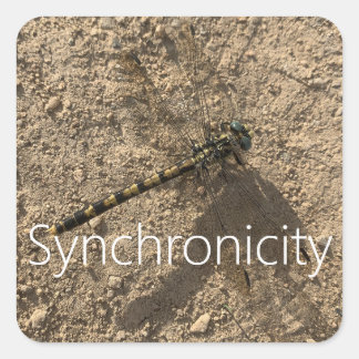 Adesivo Quadrado Sticker 'Synchronicity'