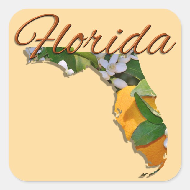 Adesivo Quadrado Stickers - FLORIDA (Frente)