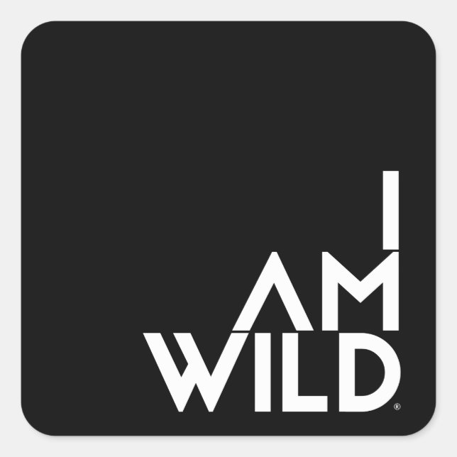 Adesivo Quadrado Sticks Quadrados, Brilhante (Frente)