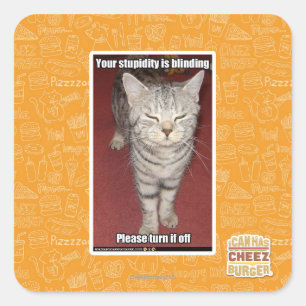 Adesivo Quadrado Sua estupidez está cegando 2