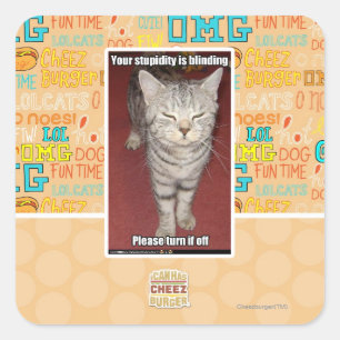 Adesivo Quadrado Sua estupidez está cegando 2