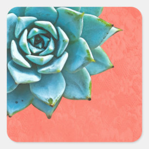 Adesivo Quadrado Succult Watercolor Laranja Lace