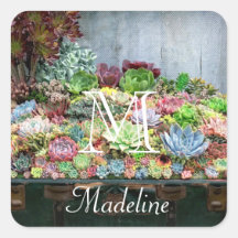 Sucultivos no tesouro