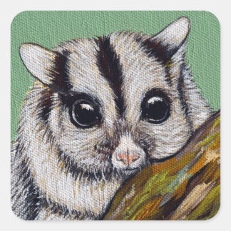 Adesivo Quadrado Sugar Glider Painting