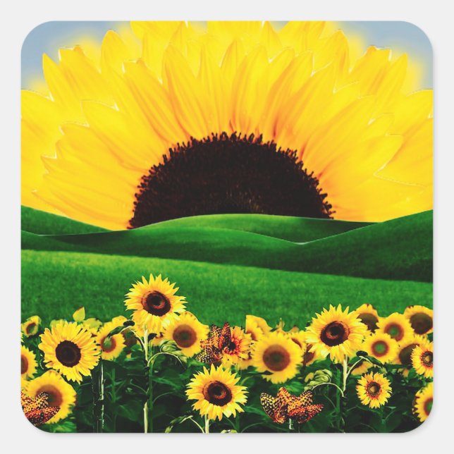 ADESIVO QUADRADO SUNFLOWER HILL (Frente)