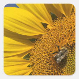 Adesivo Quadrado Sunflower Photo Summer Bee Botanical