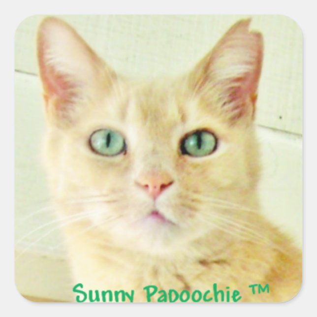 ADESIVO QUADRADO SUNNY PAPOCHIE STICKERS (Frente)