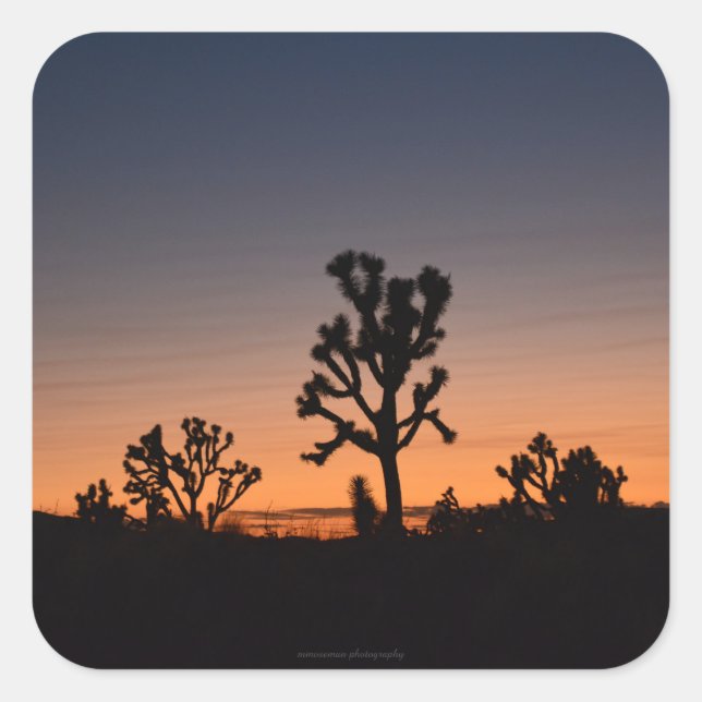 Adesivo Quadrado Sunset Joshua Trees (Frente)