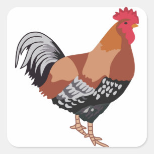 ADESIVO QUADRADO SUSSEX ESPECIFICADO