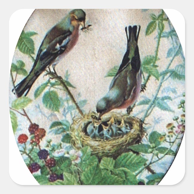 Adesivo Quadrado Sustentando o Bando: Capturando o Nurturando o Par (Frente)