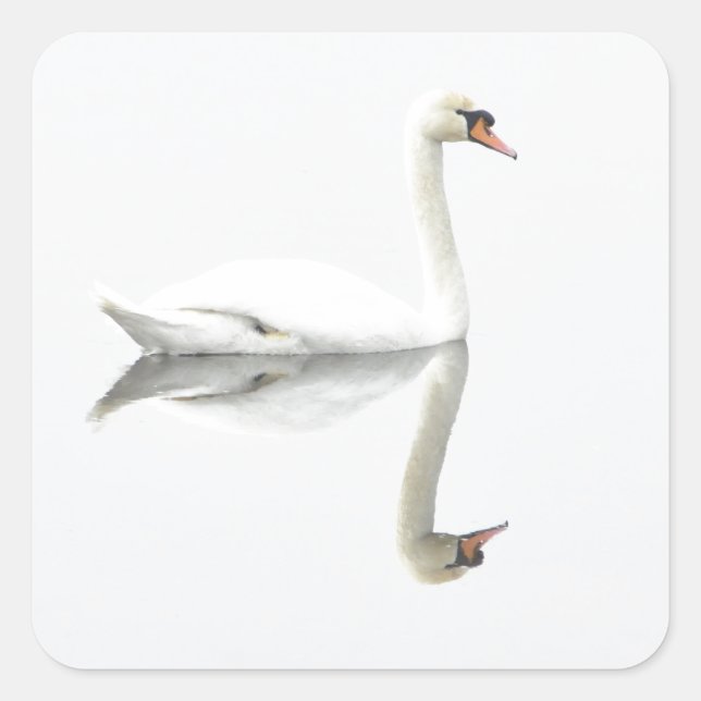 Adesivo Quadrado Swan (Frente)
