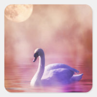 Swan Branco flutuando num lago névoo