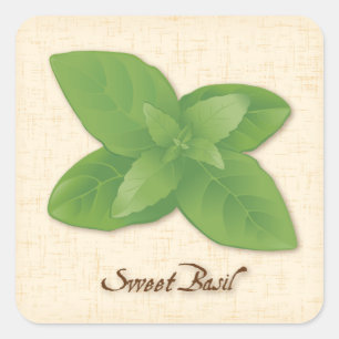 Adesivo Quadrado Sweet Basil Square Sticker