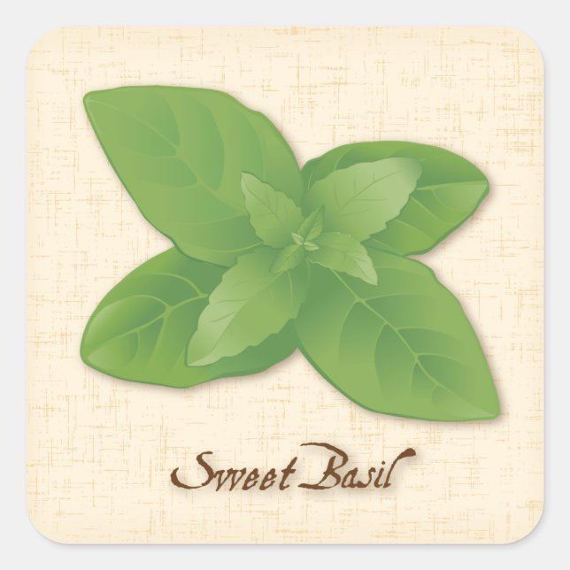 Adesivo Quadrado Sweet Basil Square Sticker (Frente)