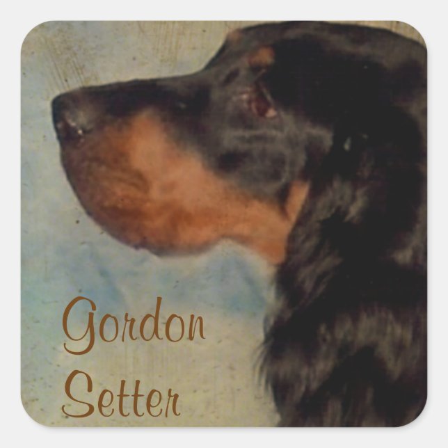 Adesivo Quadrado Sweet Gordon Setter Sticker (Frente)