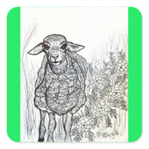 Swetheart Sheep