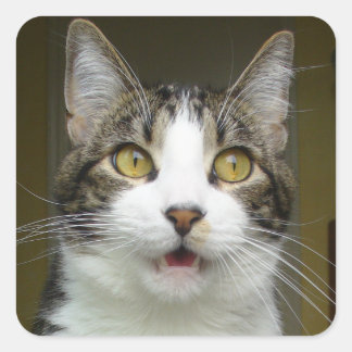 Adesivo Quadrado Syrus Shocked Stickers 0001