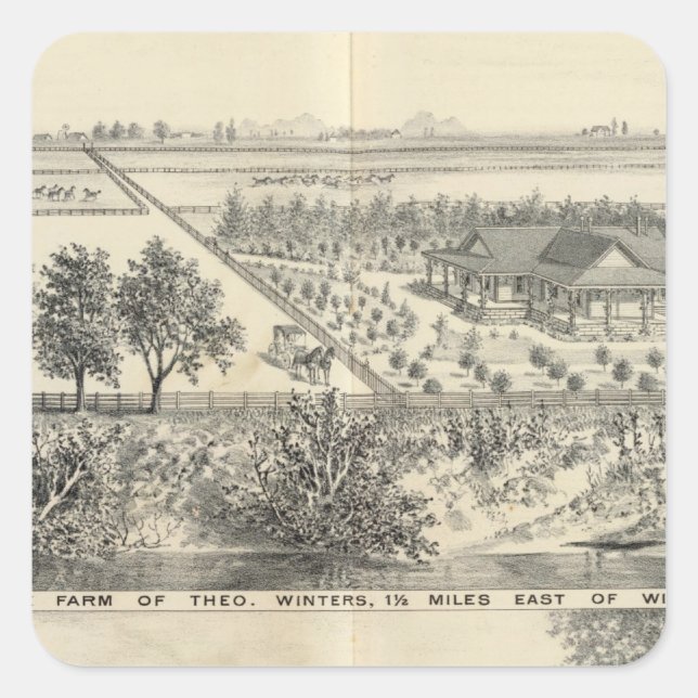 Adesivo Quadrado T fazenda Winters (Frente)